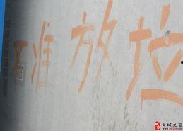 白城电梯最新爆料,揭秘安全隐患与整改措施  第1张